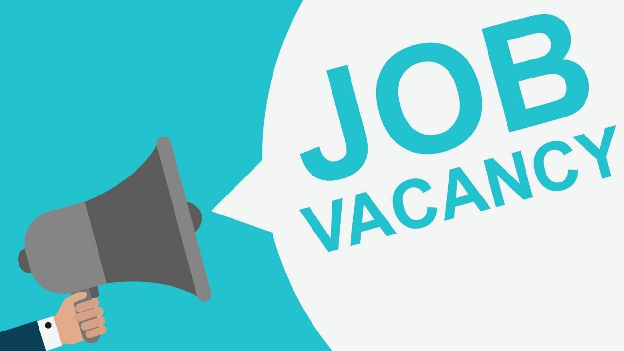 NCUI Recruitment 2024: नेशनल कोऑपरेटिव यूनियन में निकली कई पदों के लिए नई भर्ती, यहां देखें योग्यता डिटेल NCUI Recruitment 2024