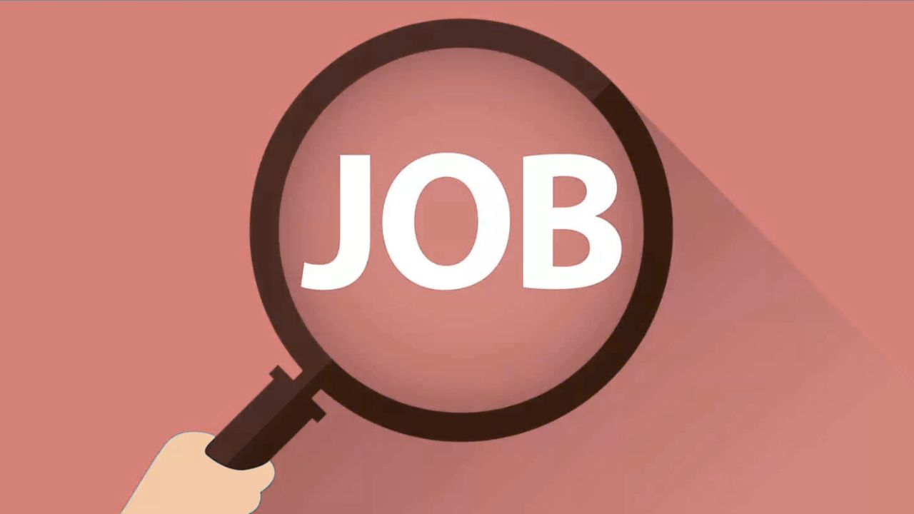 hurl vacancy 2025 108 posts